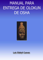 MANUAL PARA ENTREGA DE OLOKUN (1).pdf